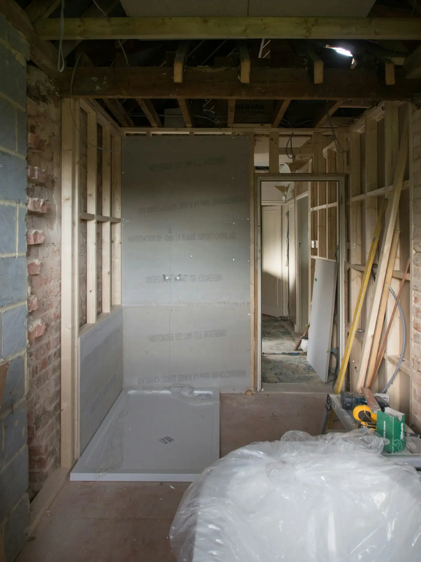 Bathtub and toilet in a bathroom stripped back to plywood mid-renovation